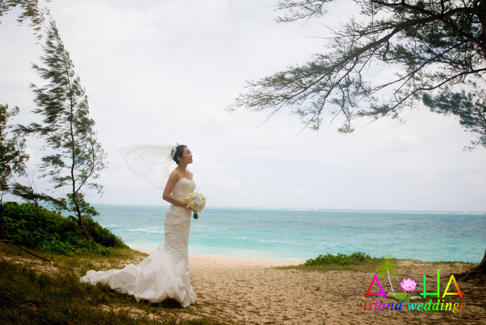 viel of the bride blowing in the wind on the beach at Waimanalo on Oahu Hawaii